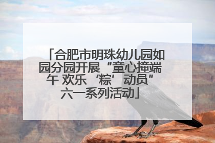 合肥市明珠幼儿园如园分园开展“童心撞端午 欢乐‘粽’动员”六一系列活动