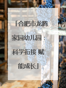 合肥市龙腾家园幼儿园：科学衔接 赋能成长