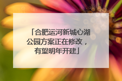 合肥运河新城心湖公园方案正在修改，有望明年开建