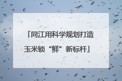 同江用科学规划打造玉米锁“鲜”新标杆