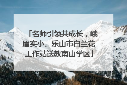 名师引领共成长，峨眉实小、乐山市白兰花工作站送教南山学区