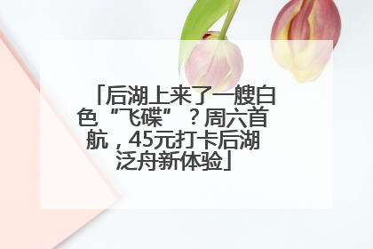 后湖上来了一艘白色“飞碟”？周六首航，45元打卡后湖泛舟新体验