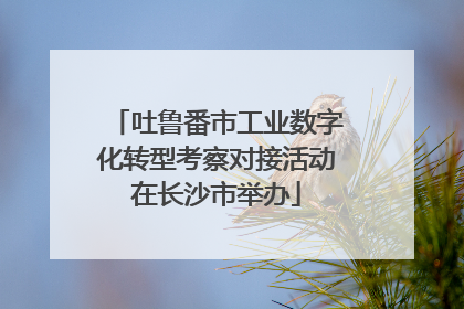 吐鲁番市工业数字化转型考察对接活动在长沙市举办