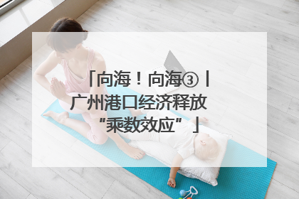 向海！向海③丨广州港口经济释放“乘数效应”