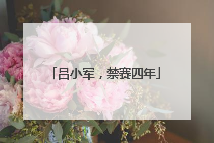 吕小军，禁赛四年