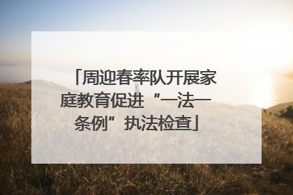 周迎春率队开展家庭教育促进“一法一条例”执法检查