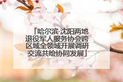 哈尔滨·沈阳两地退役军人服务协会跨区域全领域开展调研交流共绘协同发展