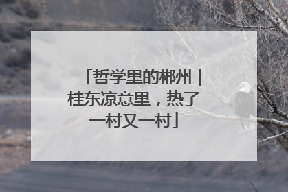 哲学里的郴州｜桂东凉意里，热了一村又一村