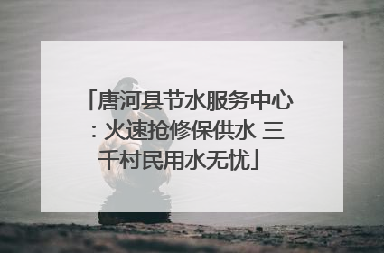 唐河县节水服务中心：火速抢修保供水 三千村民用水无忧