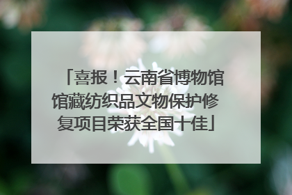 喜报！云南省博物馆馆藏纺织品文物保护修复项目荣获全国十佳