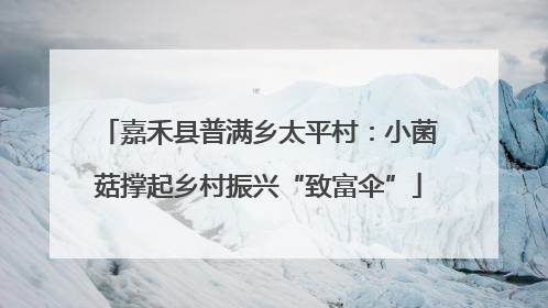 嘉禾县普满乡太平村：小菌菇撑起乡村振兴“致富伞”