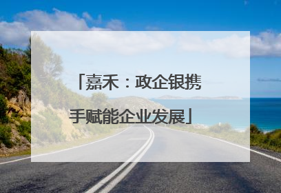 嘉禾：政企银携手赋能企业发展