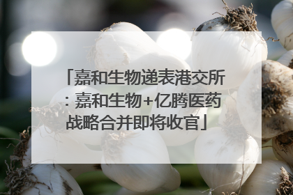 嘉和生物递表港交所：嘉和生物+亿腾医药战略合并即将收官