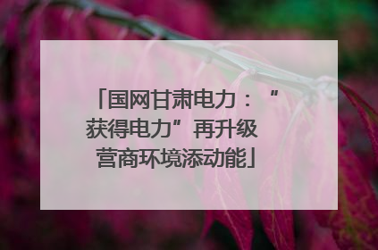 国网甘肃电力：“获得电力”再升级 营商环境添动能