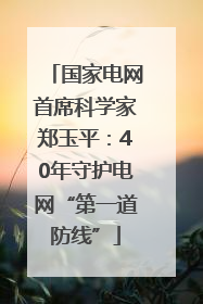 国家电网首席科学家郑玉平：40年守护电网“第一道防线”