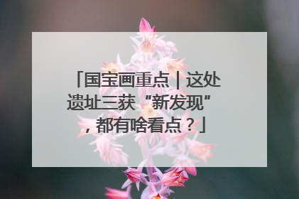 国宝画重点｜这处遗址三获“新发现”，都有啥看点？