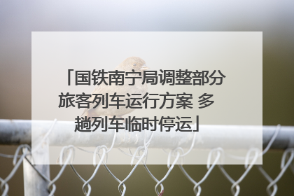 国铁南宁局调整部分旅客列车运行方案 多趟列车临时停运