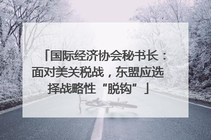 国际经济协会秘书长：面对美关税战，东盟应选择战略性“脱钩”