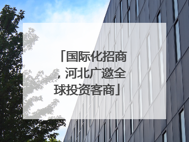 国际化招商，河北广邀全球投资客商