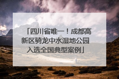 四川省唯一！成都高新区骑龙中水湿地公园入选全国典型案例