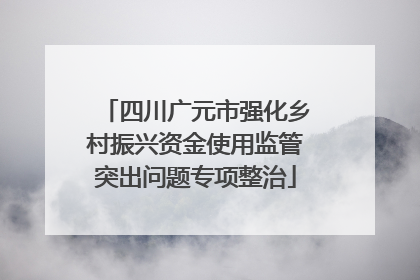 四川广元市强化乡村振兴资金使用监管突出问题专项整治