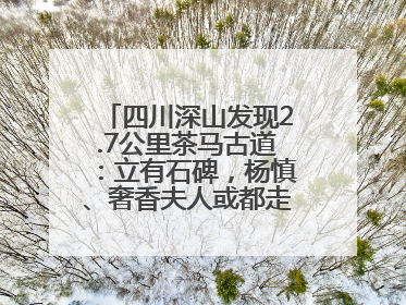 四川深山发现2.7公里茶马古道：立有石碑，杨慎、奢香夫人或都走过这条路