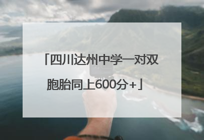四川达州中学一对双胞胎同上600分+