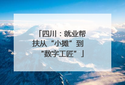 四川：就业帮扶从“小摊”到“数字工匠”