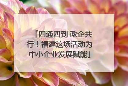 四通四到 政企共行！福建这场活动为中小企业发展赋能