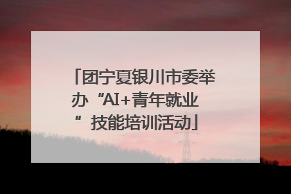 团宁夏银川市委举办“AI+青年就业”技能培训活动