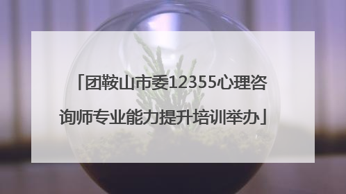 团鞍山市委12355心理咨询师专业能力提升培训举办