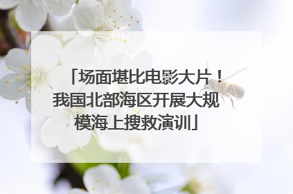 场面堪比电影大片！我国北部海区开展大规模海上搜救演训