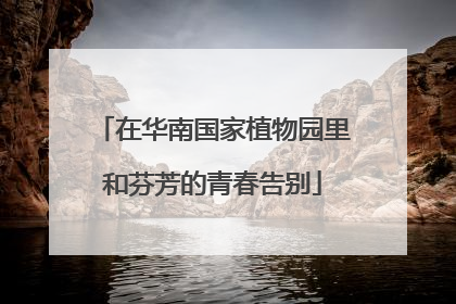 在华南国家植物园里和芬芳的青春告别