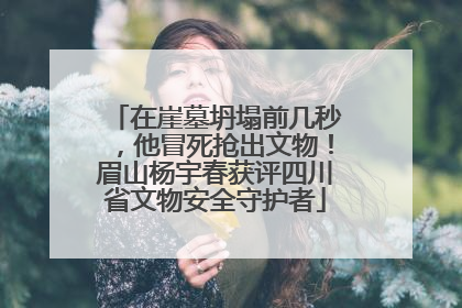 在崖墓坍塌前几秒，他冒死抢出文物！眉山杨宇春获评四川省文物安全守护者