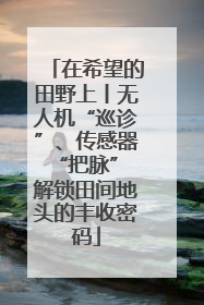 在希望的田野上丨无人机“巡诊”、传感器“把脉” 解锁田间地头的丰收密码