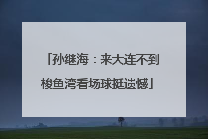 孙继海：来大连不到梭鱼湾看场球挺遗憾