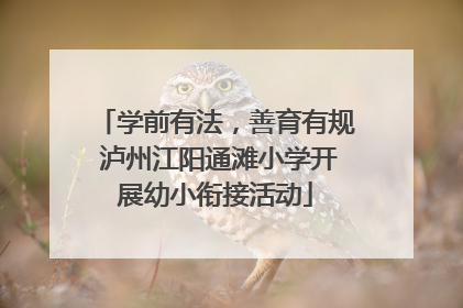学前有法，善育有规 泸州江阳通滩小学开展幼小衔接活动