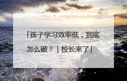 孩子学习效率低，到底怎么破？｜校长来了