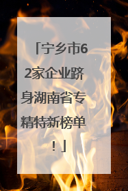 宁乡市62家企业跻身湖南省专精特新榜单！