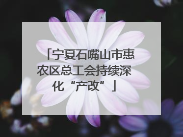 宁夏石嘴山市惠农区总工会持续深化“产改”