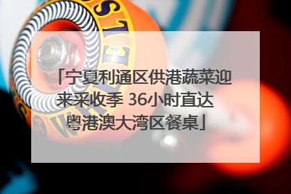 宁夏利通区供港蔬菜迎来采收季 36小时直达粤港澳大湾区餐桌