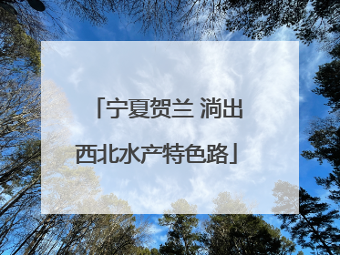 宁夏贺兰 淌出西北水产特色路