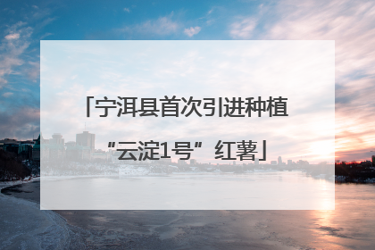 宁洱县首次引进种植“云淀1号”红薯