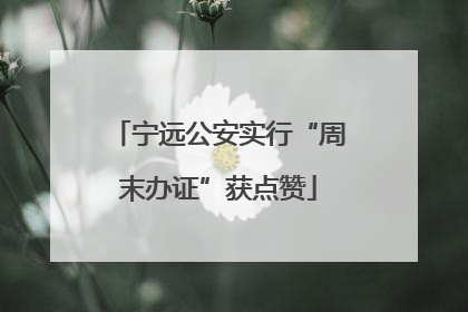 宁远公安实行“周末办证”获点赞
