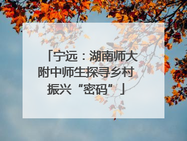 宁远：湖南师大附中师生探寻乡村振兴“密码”