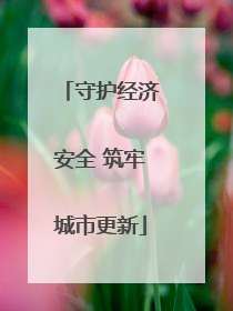 守护经济安全 筑牢城市更新