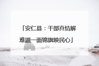 安仁县：干部真情解难题一面锦旗映民心