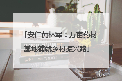 安仁黄林军：万亩药材基地铺就乡村振兴路