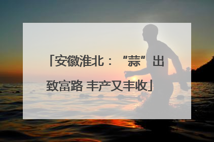 安徽淮北：“蒜”出致富路 丰产又丰收