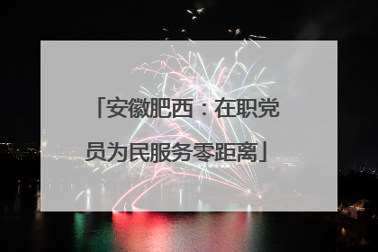 安徽肥西：在职党员为民服务零距离